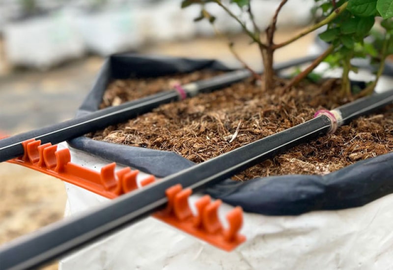 FONDO CATEGORÍAS - ACCESORIOS